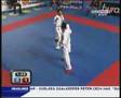 WKF 2006 Male Kumite U80kg Final