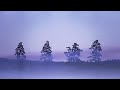 HD Video - Ford WRC – Sweden 2012 Teaser