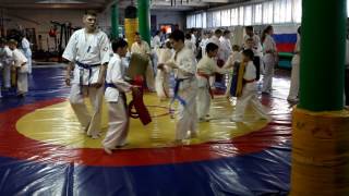 Шимановские каратисты получили сертификаты.