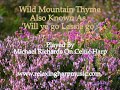 views in and around snowdonia wild mountain thyme