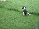 Lucky Spot