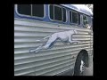 Withlacoochee Bluegrass Jamboree