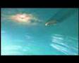 Farscape 4 trailer - www.elephantfilms.com