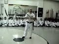 Shaolin Wingchun NamAnh Kungfu - Pole Wingchun