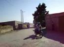 passeio motas algodres