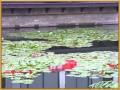 China Tour-Shaoxing the City of Water �������-�Ҷ�:YouTube������=15��