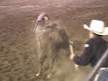 Rodeo!