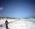 Crusty Quinns Lancelin to Cervantes Pt3 8-3-08 Return Trip