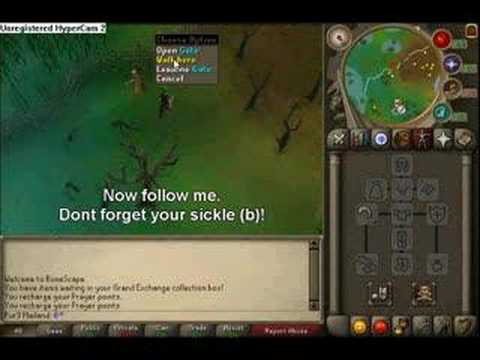 money making guide for runescape