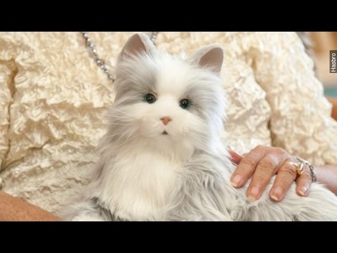 Begleiter Haustier, Roboter Katze