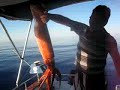 Deep Sea Fishing ?? outside of lutro in Rethymnon Crete