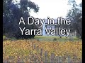 Harley Ride to the Yarra Valley Wineries