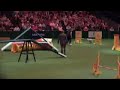 Crufts 2008 Champ Agility Medium 02