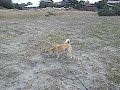 久しぶりのリラックス