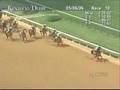 Barbaro - Undefeated