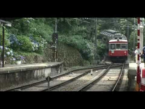 昼のあじさい電車（箱根登山鉄道）