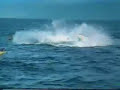orca-attack-on-great-white.html