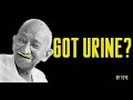 urine therapy urine therapy