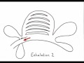 Avian Respiration