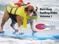 Best All Time Dog Surfing Rides Volume 1 Huntington Beach