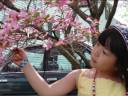 Spring_2008.wmv Spring_2008.wmv