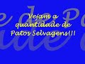Marzagão!!