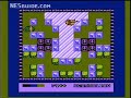 www.nesguide.com