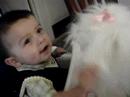 He is so cute playing with puzzy.