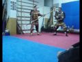 So Jutsu / Yari Jutsu [The Art of Spear] 02