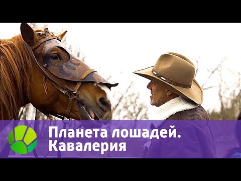Планета лошадей. Кавалерия