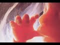 video por el dia de las madres 