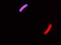 Glo Poi Product  Demo