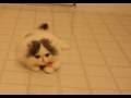 Please click on me to play my video!