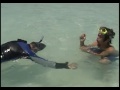 journee grand bleu akumal partie 1