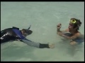 journee grand bleu akumal partie 1