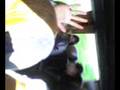 Phantasialand . Dans le caar x)t