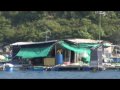Working NhaTrang...Around the World for Free style Working NhaTrang...Around the World for Free style