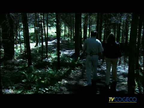 Video 524 - Hiking - Sentiers pédestres des 3 Monts - Saint-Joseph-de-Coleraine - Région de Thetford - Chaudière-Appalaches