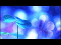 www.imanoon.com Salaam 'Alaikum, Brothers and sisters (and guests) i bring you another beautiful recitation. Unfortunately, again, i do not know who the reciter is. This is recitation of suratul Insan (mankind). Enjoy inshaallah. was salaam