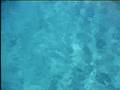 Lampedusa 2008