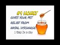 Does kennel cough cause vomiting http://www.youtube.com/watch?v=ijACEpopxsY