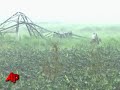 gustav hit the isla de la juventud south of the cuban mainland just short of a top-scale category 5 hurricane with screaming 140 mph winds that toppled telephone poles and fruit trees, shattered windows and leveled some homes. (aug. 31)