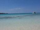 Flamingo Beach2