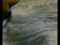 videos de Boracay Invasion 6 -
