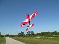 Extra 300 SR 8-2-2008