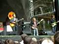 plasticities - Andrew Bird at Outside Lands Festival
