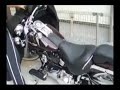 Harley Davidson Softail deluxe 2007 ride it...HARD!!!