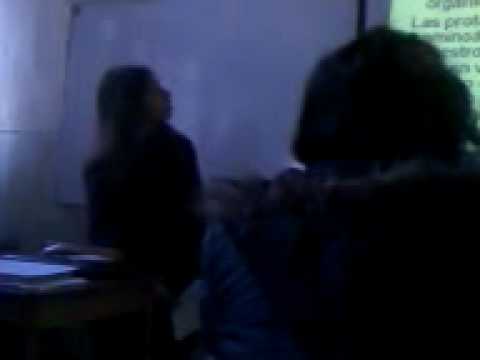 Tontera en Bioologia