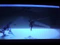 acnest technically 3rd video