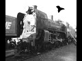 A tribute to Victorian Steam Locomotives